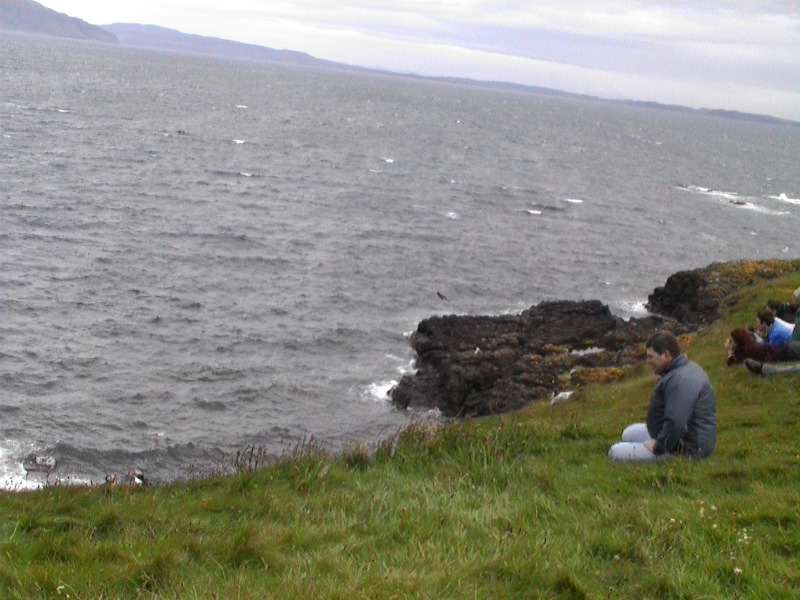 Ken - Staffa with Puffins