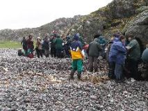 Pilgrimage - St Columba's Bay