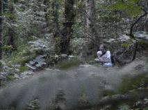 Sue - Templeton Woods 2