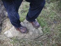 Ken - Paddock Stomping Boots