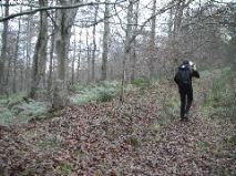 Lucklaw Hill Walk