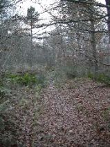 Lucklaw Hill Walk 2