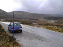 Lupo in GlenMuick