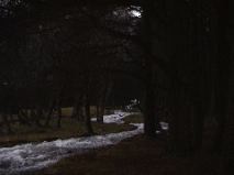 Woods Burn near Loch Muick