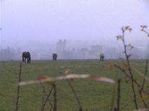 Helmsley Castle