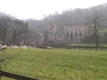 Rievaulx Abbey