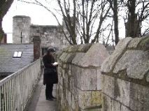 Sue - York City Wall