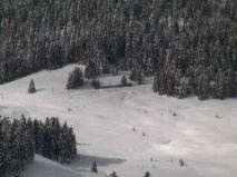 Snow Train