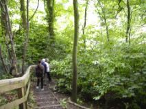 Walk by the Doon