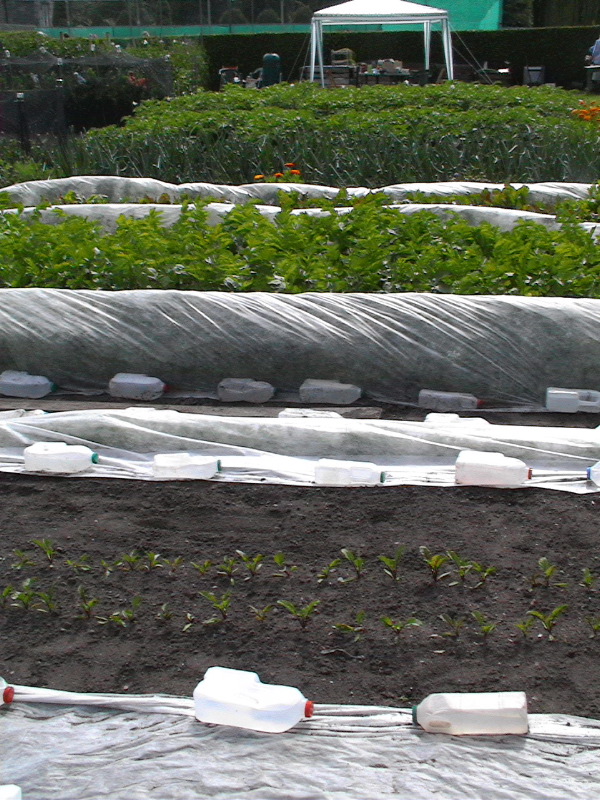 St Andrews Organic Garden