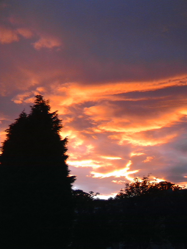 Sunset at Ninewells