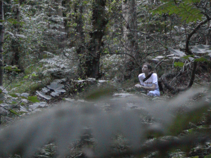 Sue - Templeton Woods 2
