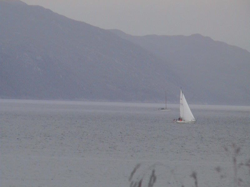 Sailing - Sound of Mull