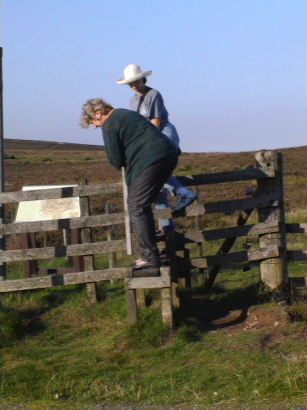 Bloody Stile