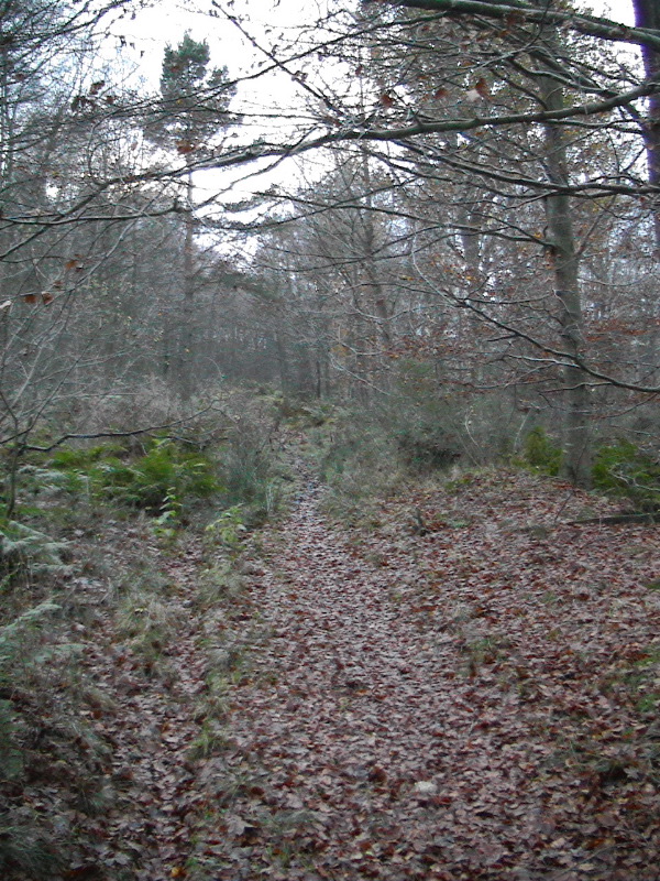 Lucklaw Hill Walk 2
