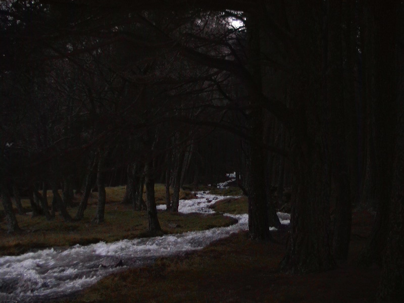 Woods Burn near Loch Muick