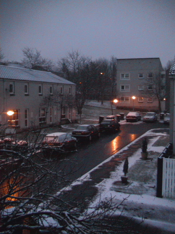Dundee Snow 2