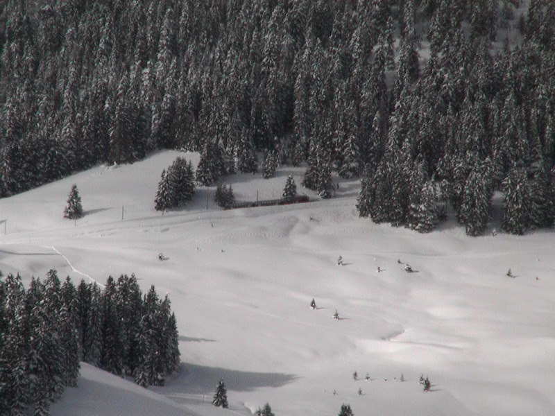 Snow Train