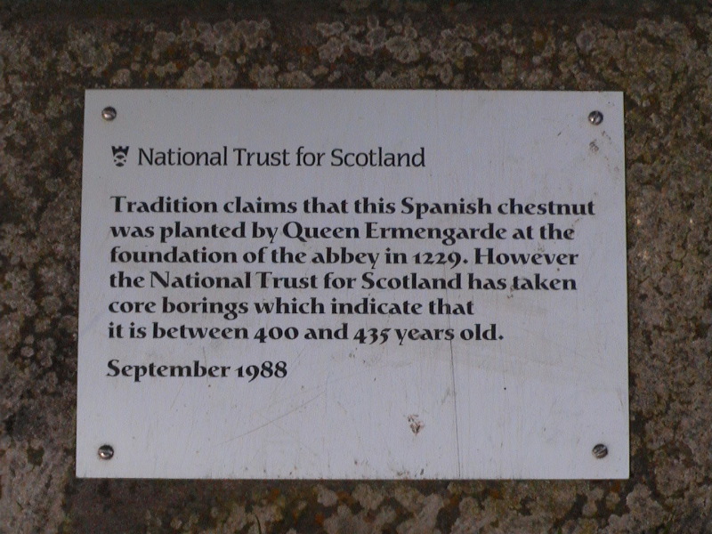 Balmerino Abbey Tree Info