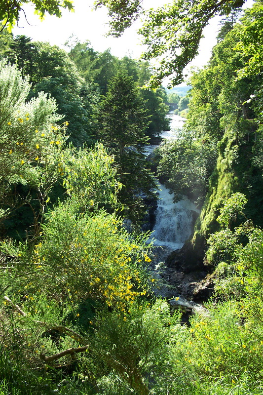 Reekie Linn 3