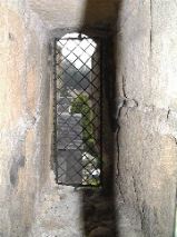 View from Abernethy Tower Window