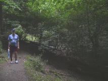 Walking in the Hermitage