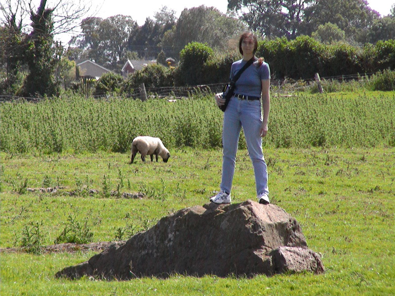 Sue Standing Stone