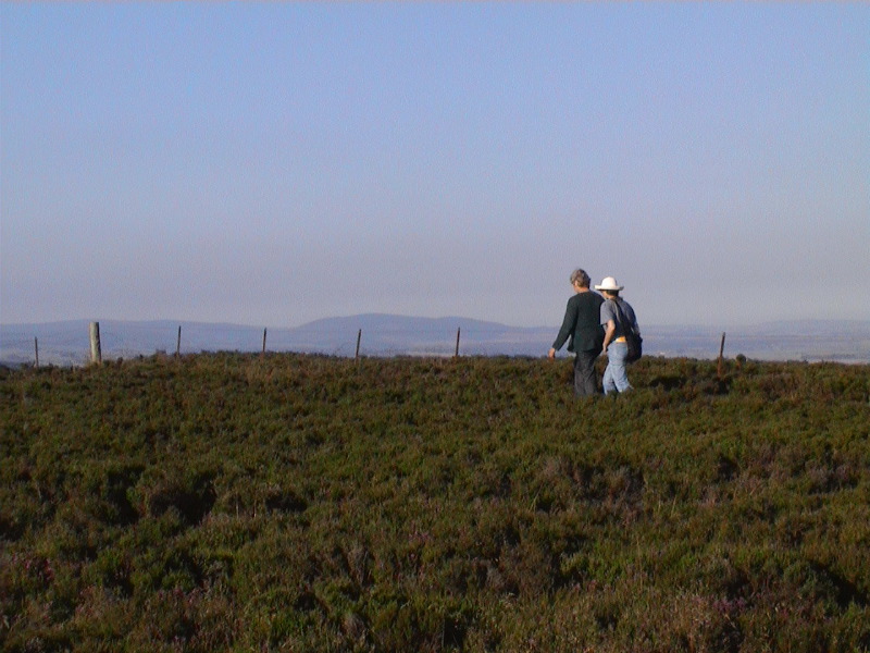 Sue and Felicity - Brown Caterhun