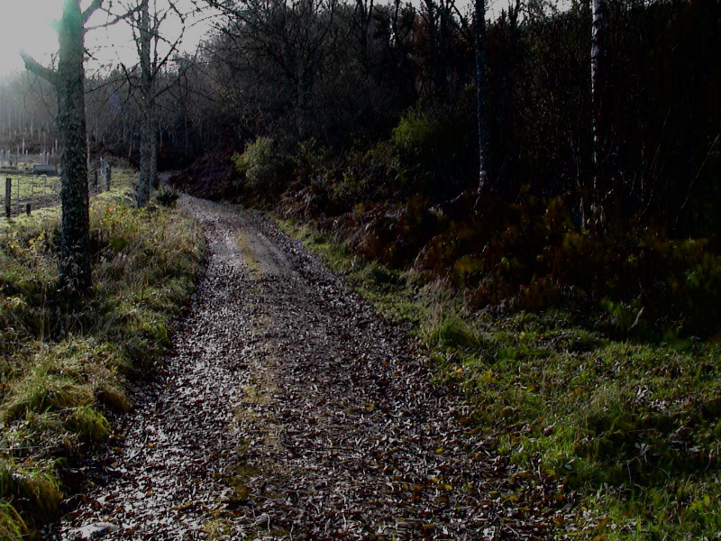 Autumn Walk - Near Pitlochry