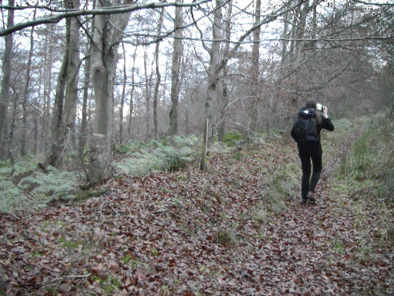 Lucklaw Hill Walk