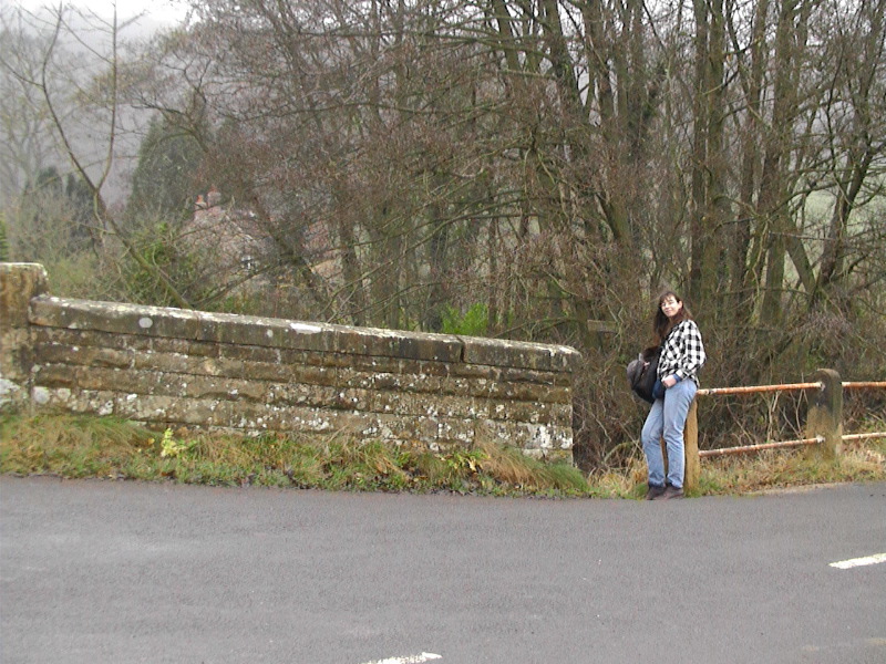 Sue - Rye bridge near Rievaulx