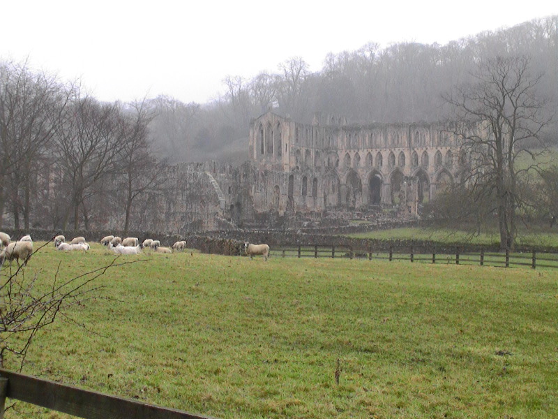 Rievaulx Abbey