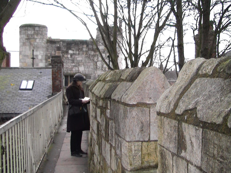 Sue - York City Wall