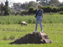 Sue Standing Stone