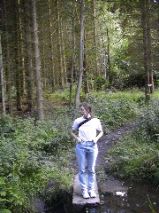 Sue - Templeton Woods