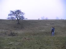 Sue - Medieval Townsite 2