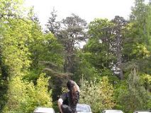 Killin Trees - Megan