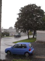 Summer!